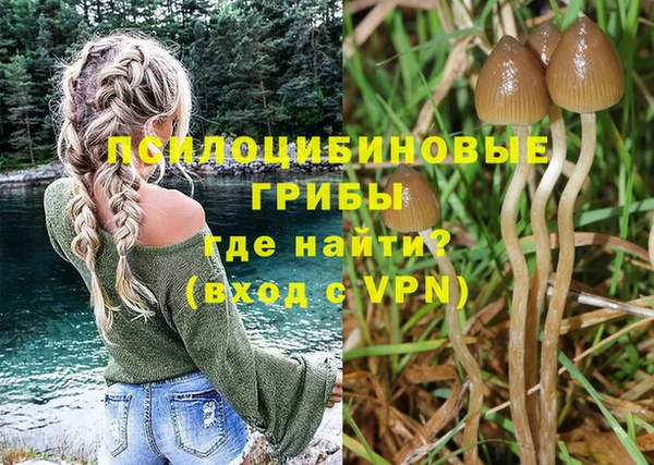 мдма Ельня