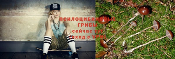 a pvp Заволжск