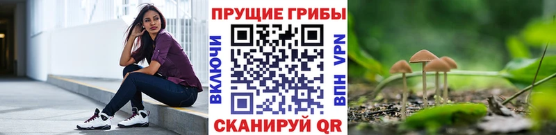 Галлюциногенные грибы Cubensis  Исилькуль 